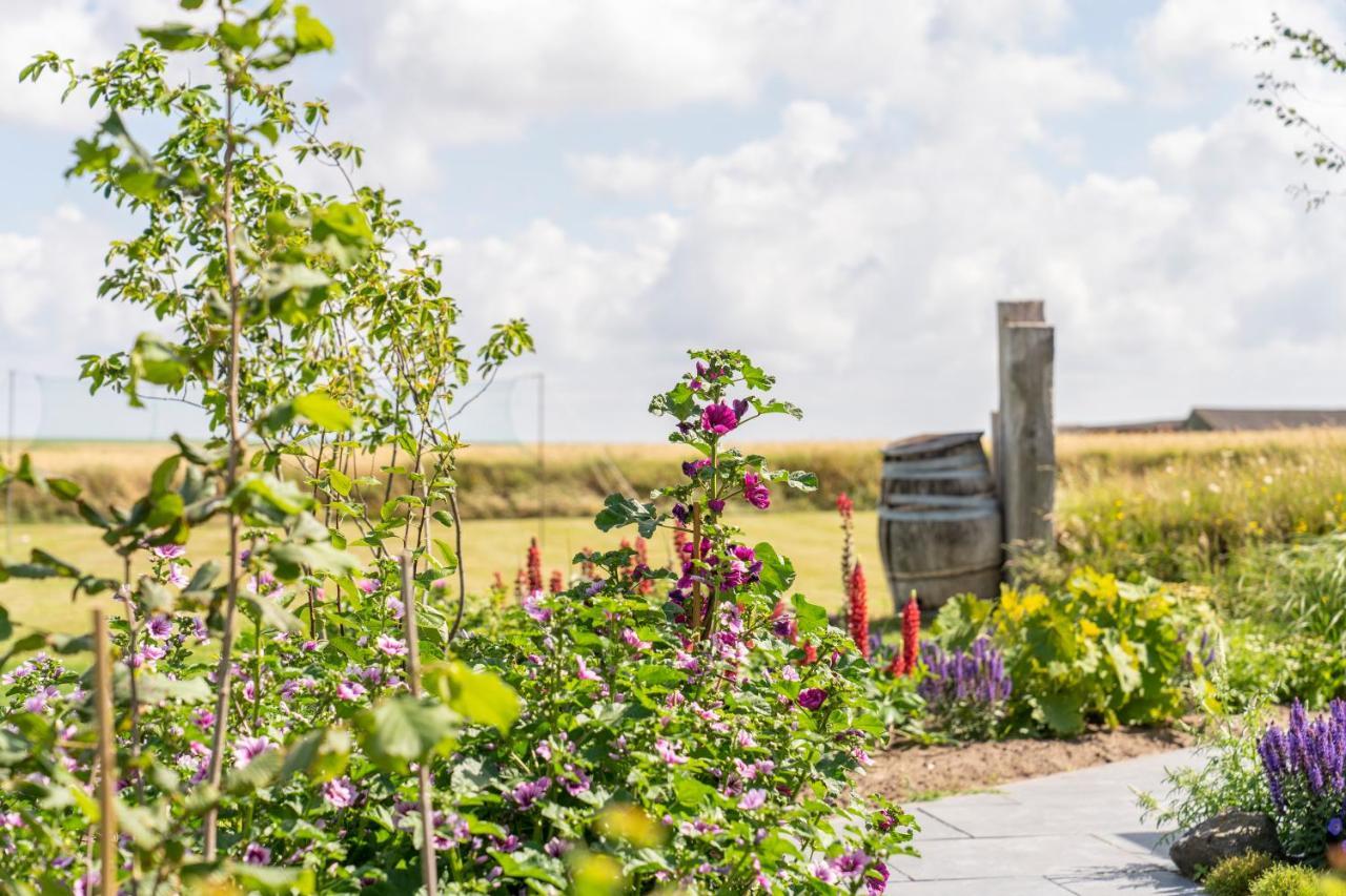 Op Oost Boutique Hotel & Restaurant Het Kook Atelier Oosterend  Eksteriør billede