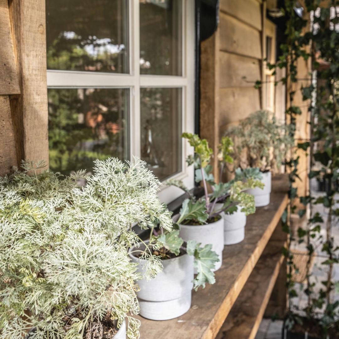 Op Oost Boutique Hotel & Restaurant Het Kook Atelier Oosterend  Eksteriør billede